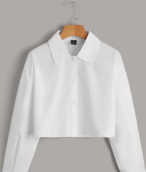 Camisa Top Manga Larga SHEIN